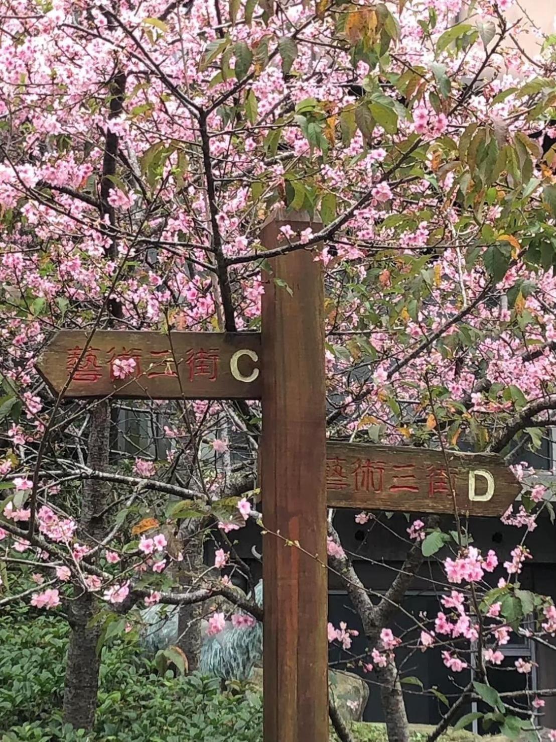 Miaoli Sanyi Travelling Homestay Exteriör bild